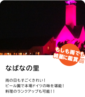 三重県 なばなの里「世界最大級の光の祭典を日帰りで堪能する旅行プラン