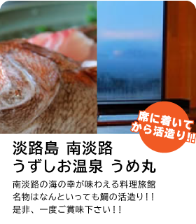 淡路島 南あわじ うめ丸